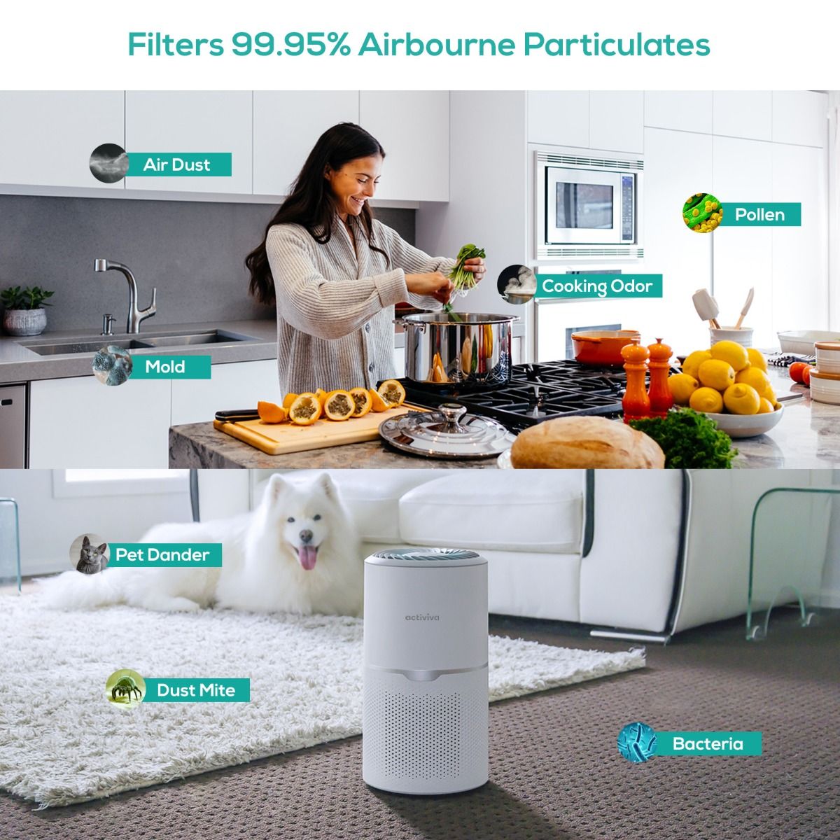 HEPA Air Purifier | UV-C Light Purifier | Ethereal Diffusers