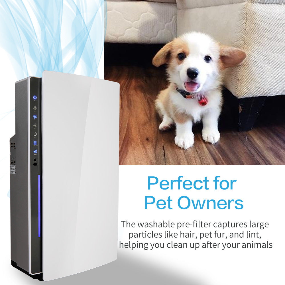 Shinco Air Purifiers | SAD-2401 Air Purifier | Ethereal Diffusers